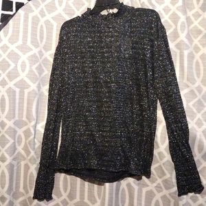 Women shimmer blouse 1X